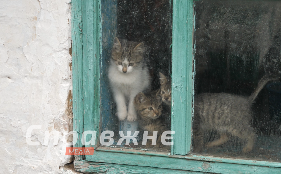 Село на 46 жителей: как зимуют на окраине цивилизации в Запорожской области