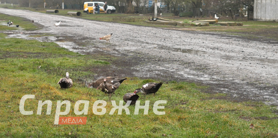 В Трудооленовке