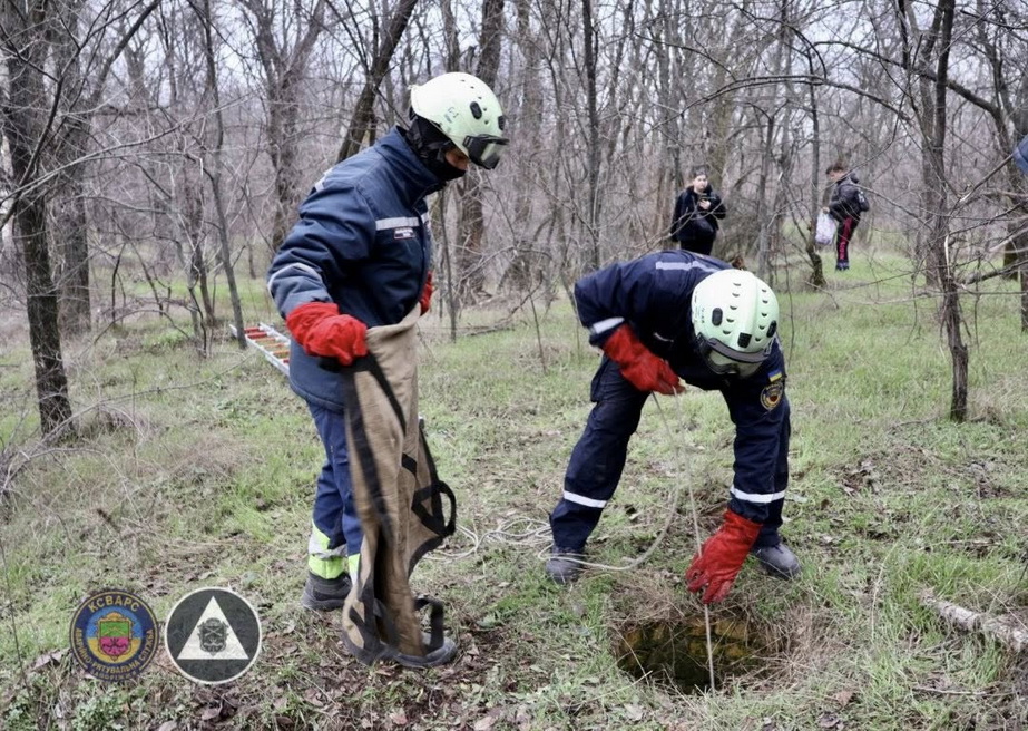Тревогу из-за зверя в канализационной шахте, который не мог выбраться, забили неравнодушные горожане Порятунок борсука в Запоріжжі