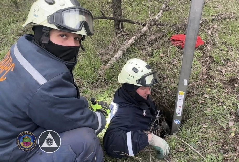 Тревогу из-за зверя в канализационной шахте, который не мог выбраться, забили неравнодушные горожане Порятунок борсука в Запоріжжі
