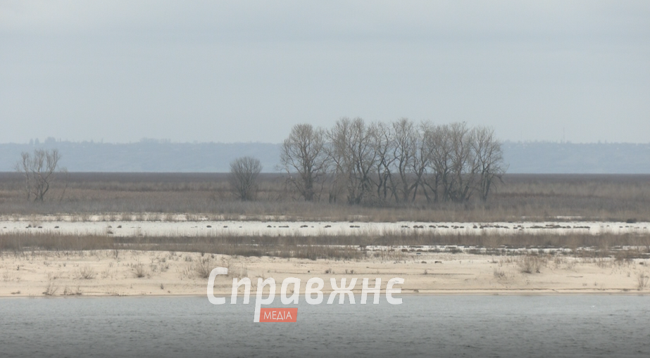 Водохранилище