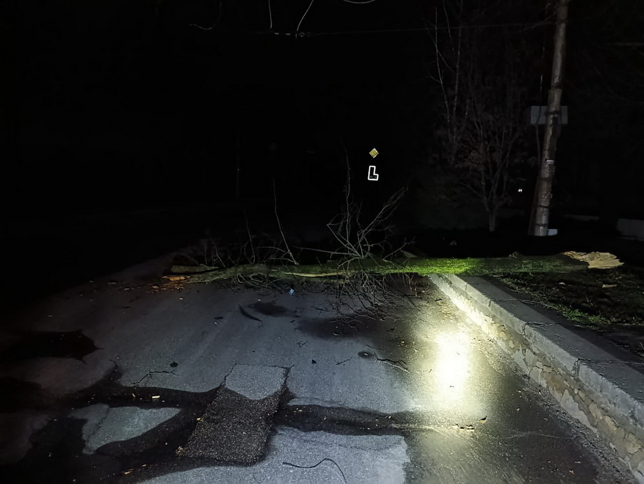 Вітер у Запоріжжі валив дерева на автівки та будинки Негода повалила в Запоріжжі десятки дерев