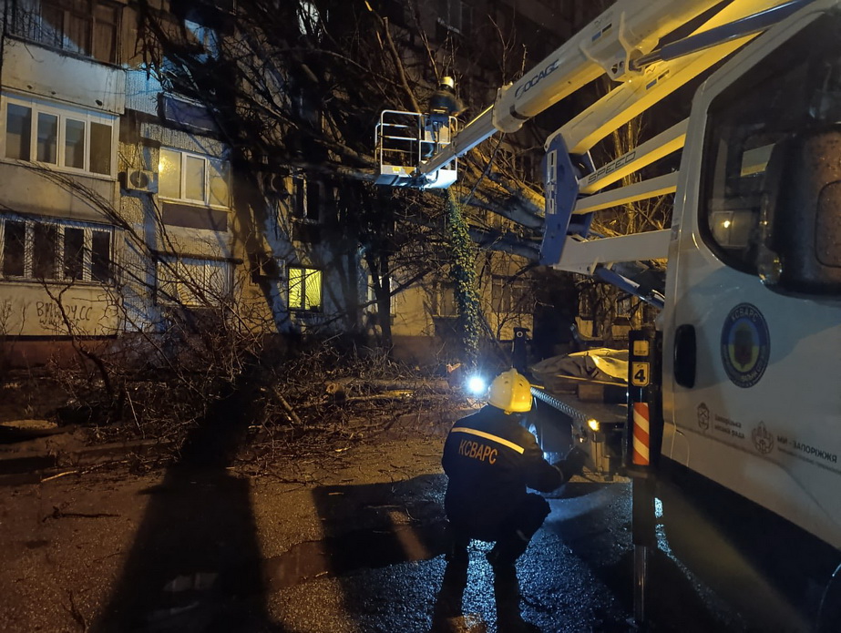 Вітер у Запоріжжі валив дерева на автівки та будинки Негода повалила в Запоріжжі десятки дерев