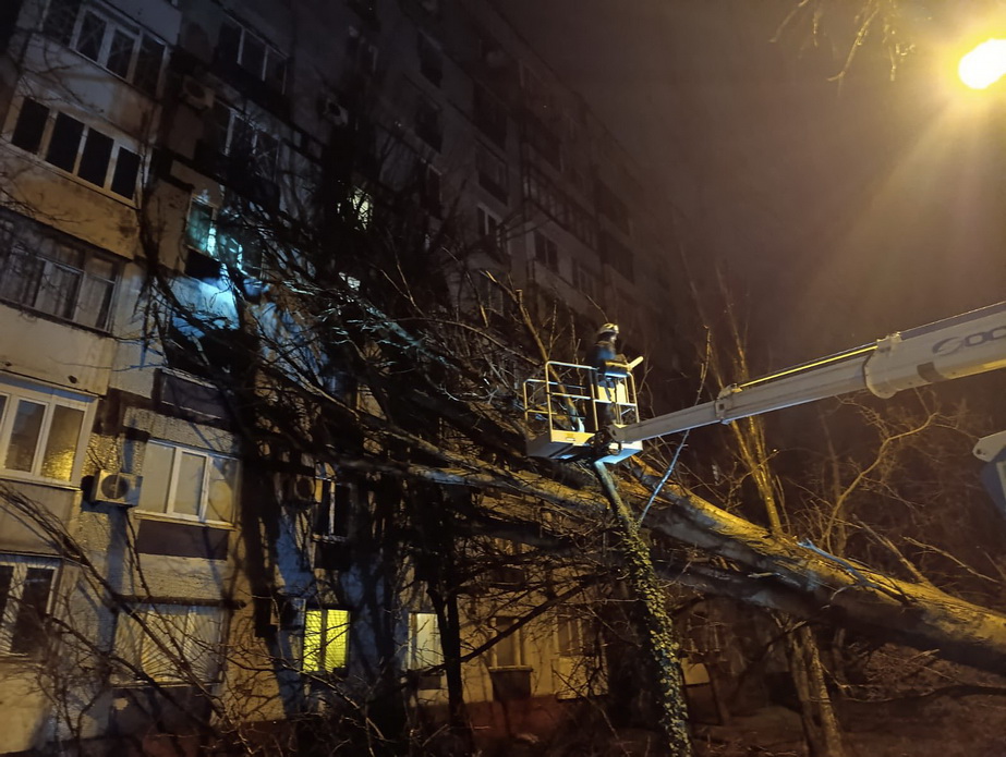 Вітер у Запоріжжі валив дерева на автівки та будинки Негода повалила в Запоріжжі десятки дерев