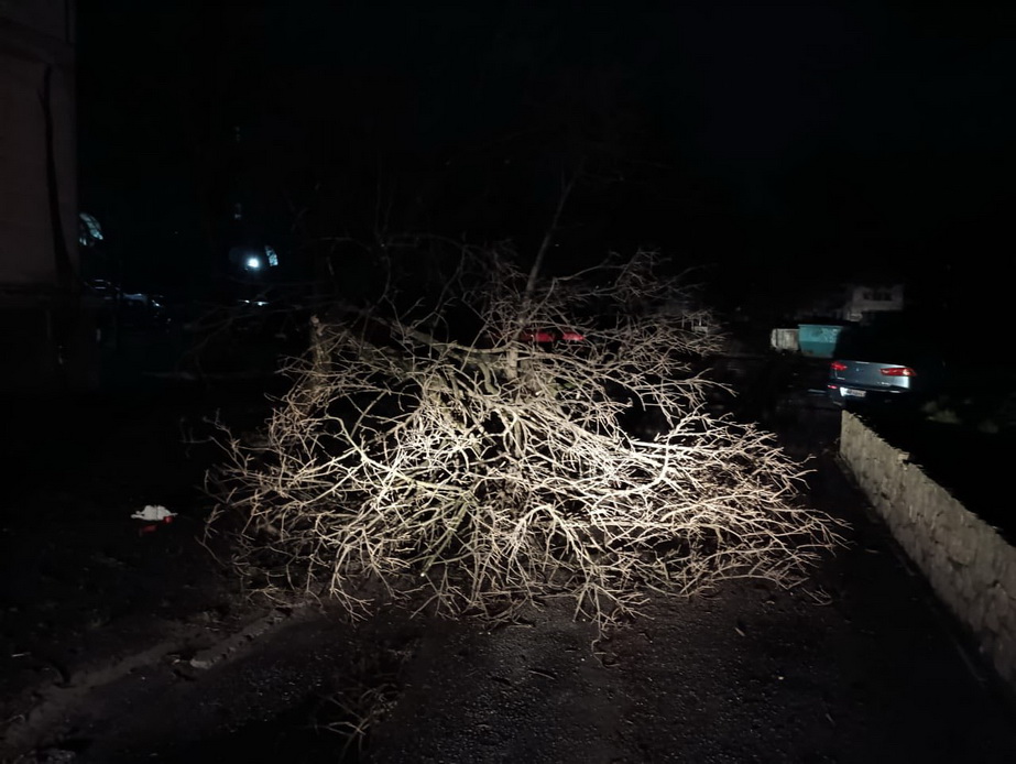 Негода повалила в Запоріжжі десятки дерев 