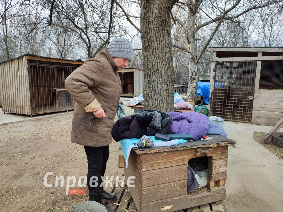 Від ранку, щойно стало відомо про трагедію в притулку, сюди потягнулися небайдужі Волонтери і працівники наводять лад у притулку після атаки