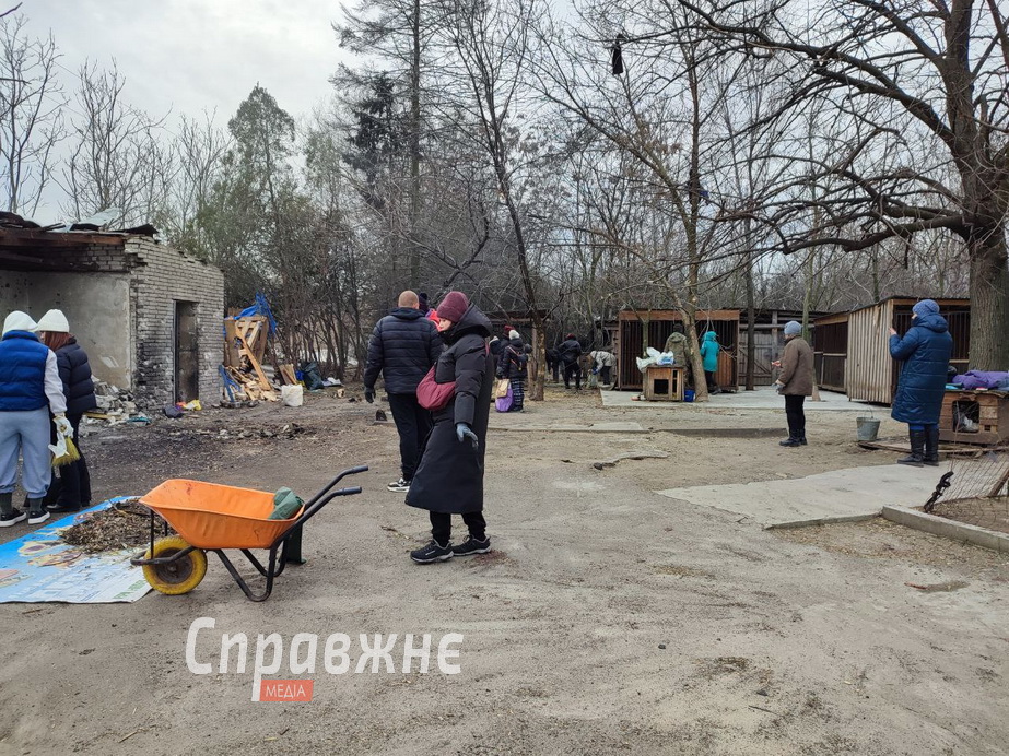 Від ранку, щойно стало відомо про трагедію в притулку, сюди потягнулися небайдужі Волонтери і працівники наводять лад у притулку після атаки