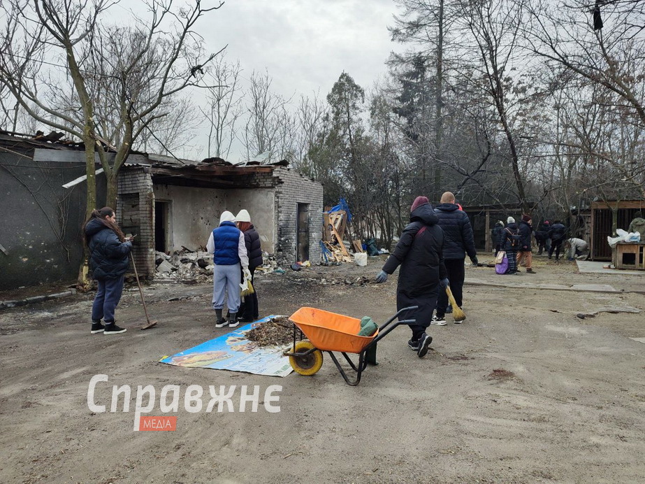 Від ранку, щойно стало відомо про трагедію в притулку, сюди потягнулися небайдужі Волонтери і працівники наводять лад у притулку після атаки