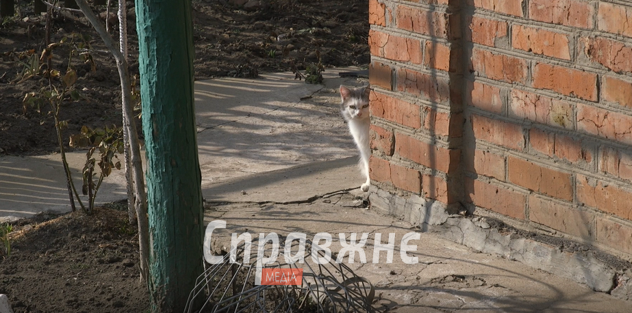 Оріхів та його мешканці