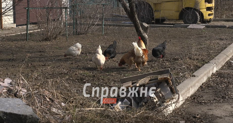 Оріхів та його мешканці