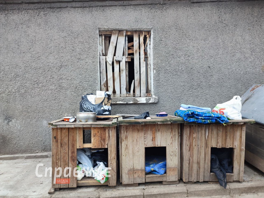 Від ранку, щойно стало відомо про трагедію в притулку, сюди потягнулися небайдужі Волонтери і працівники наводять лад у притулку після атаки