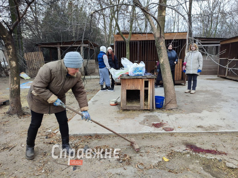 Від ранку, щойно стало відомо про трагедію в притулку, сюди потягнулися небайдужі Волонтери і працівники наводять лад у притулку після атаки