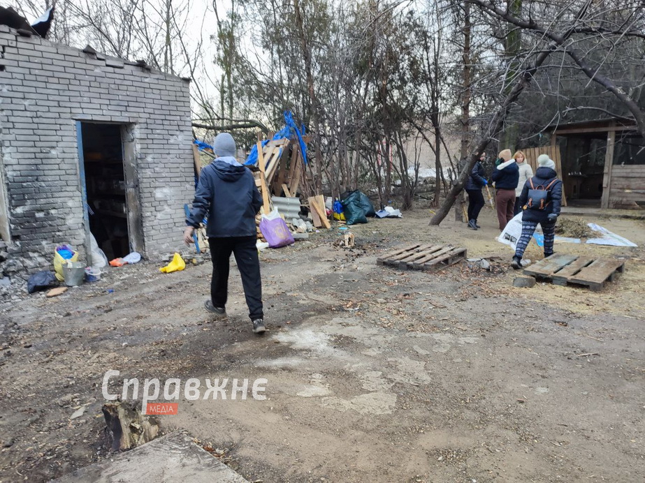 Від ранку, щойно стало відомо про трагедію в притулку, сюди потягнулися небайдужі Волонтери і працівники наводять лад у притулку після атаки