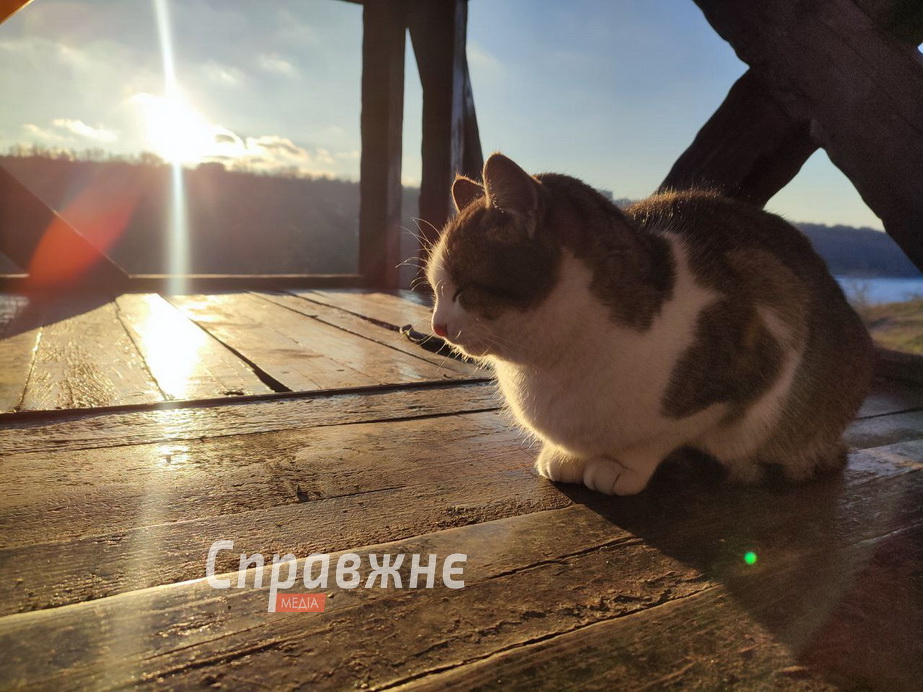 Хортицькі котики