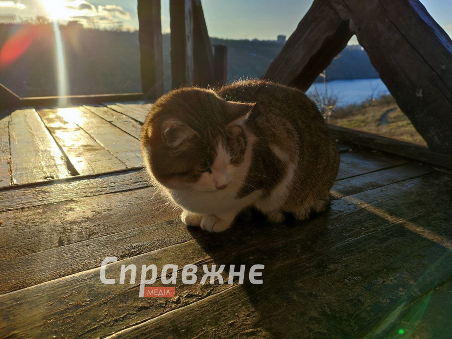 Хортицкие котики