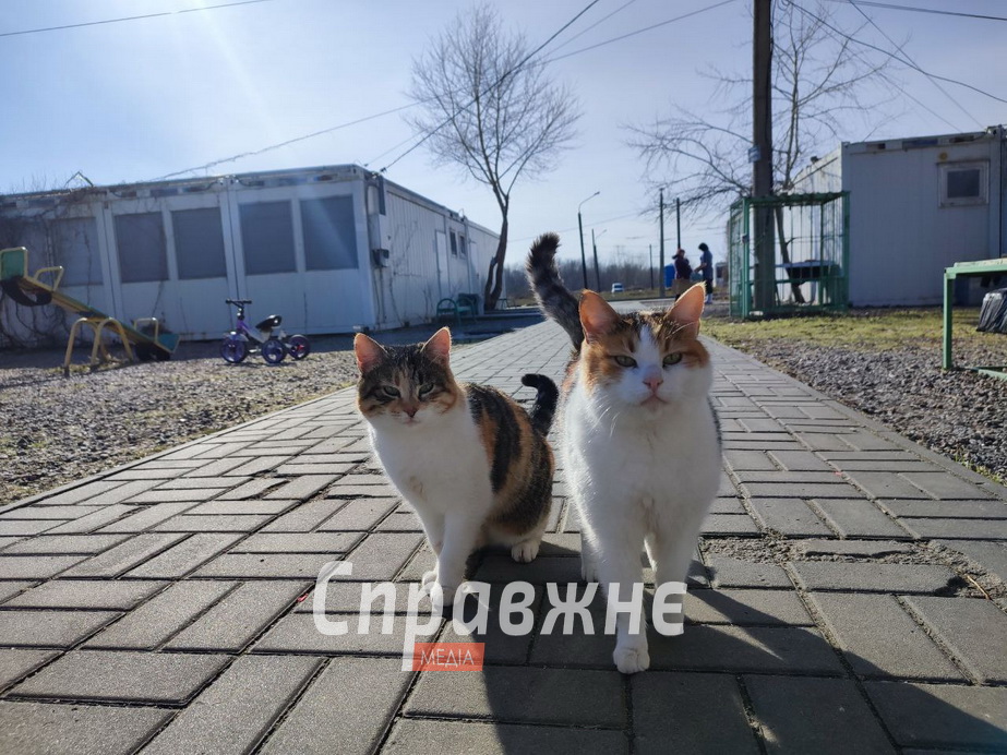 Модульне містечко в Запоріжжі