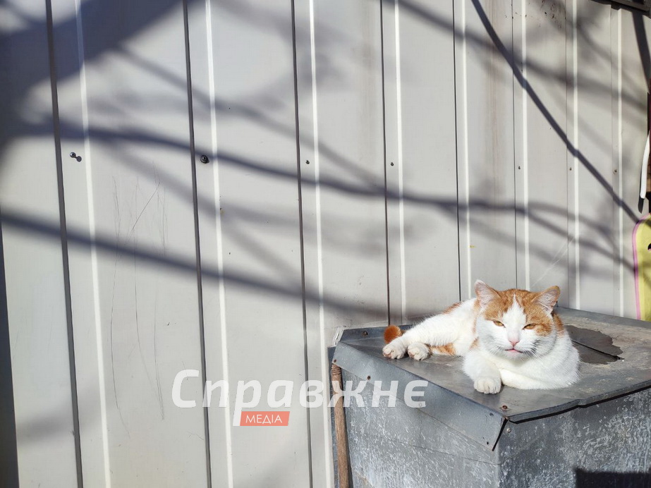 Модульный городок в Запорожье