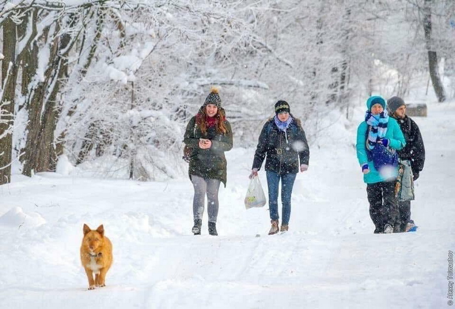 Волонтеры на Хортице