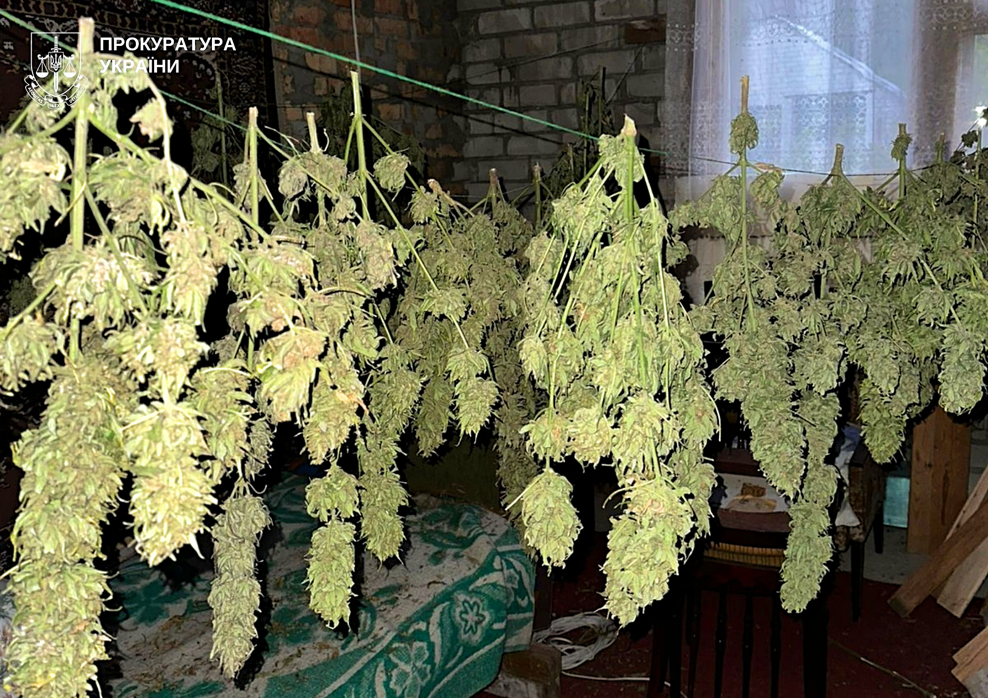 Обшуки у наркотрговців 