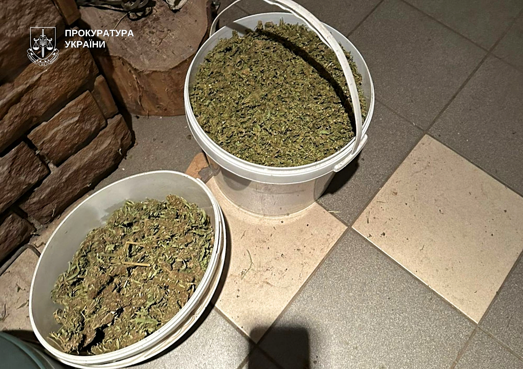 Обшуки у наркотрговців 