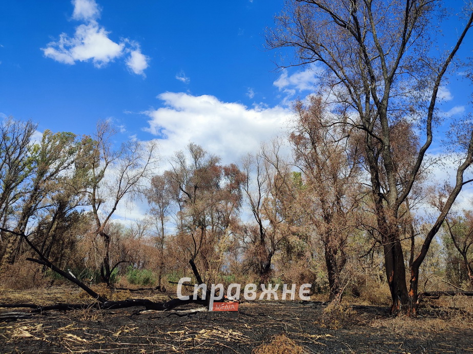 Наслідки пожеж на Хортиці