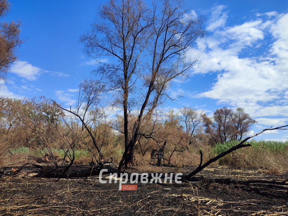 Наслідки пожеж на Хортиці