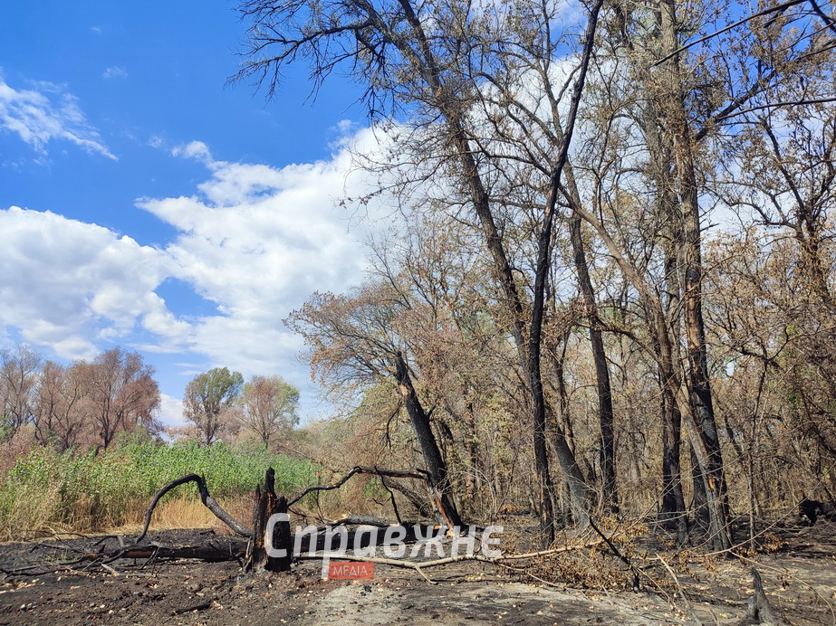 Наслідки пожеж на Хортиці