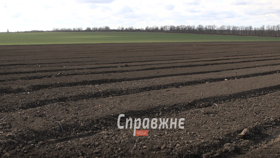 Розорані поля