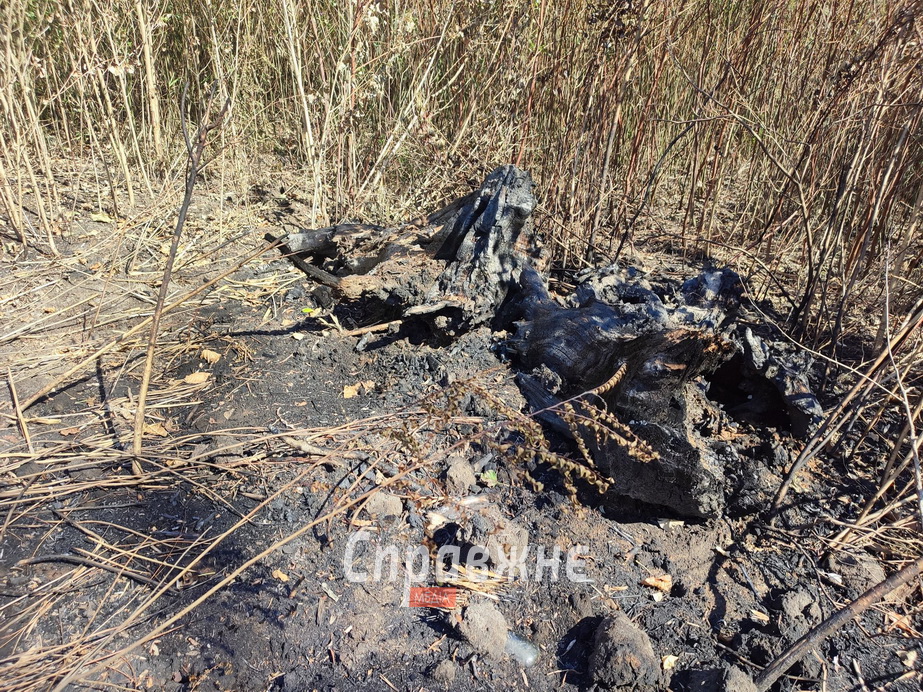 Наслідки пожеж на Хортиці