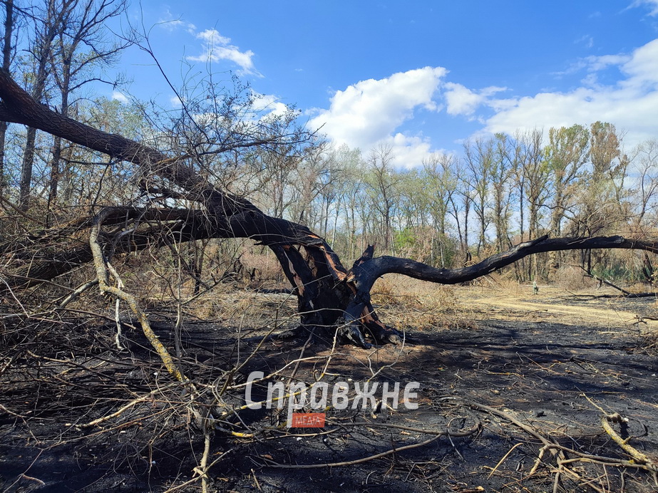 Наслідки пожеж на Хортиці