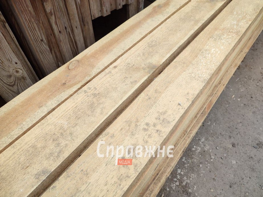 Притулок для тварин