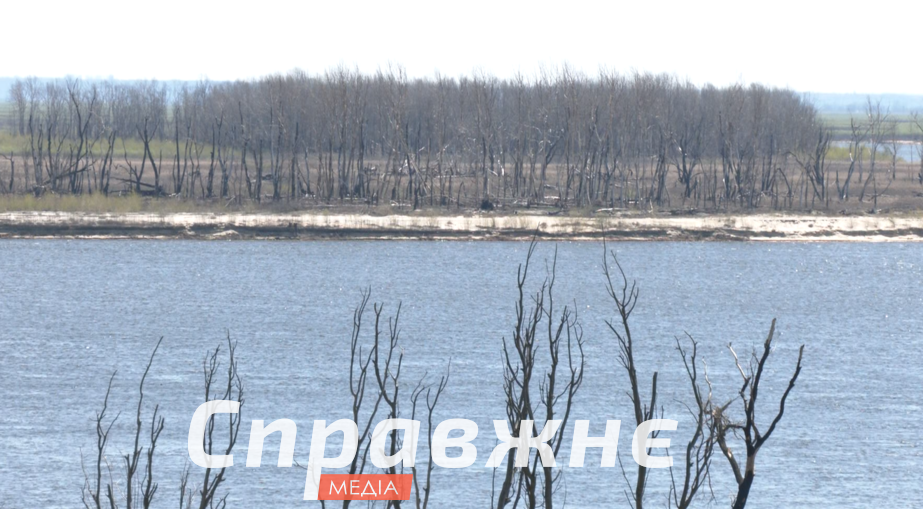 В Лысогорке