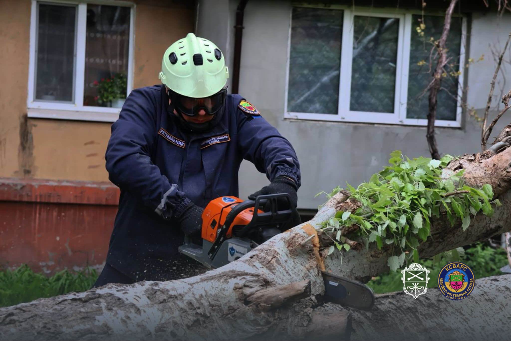 Ветер валил деревья в Запорожье – на ряде улиц перекрывали движение