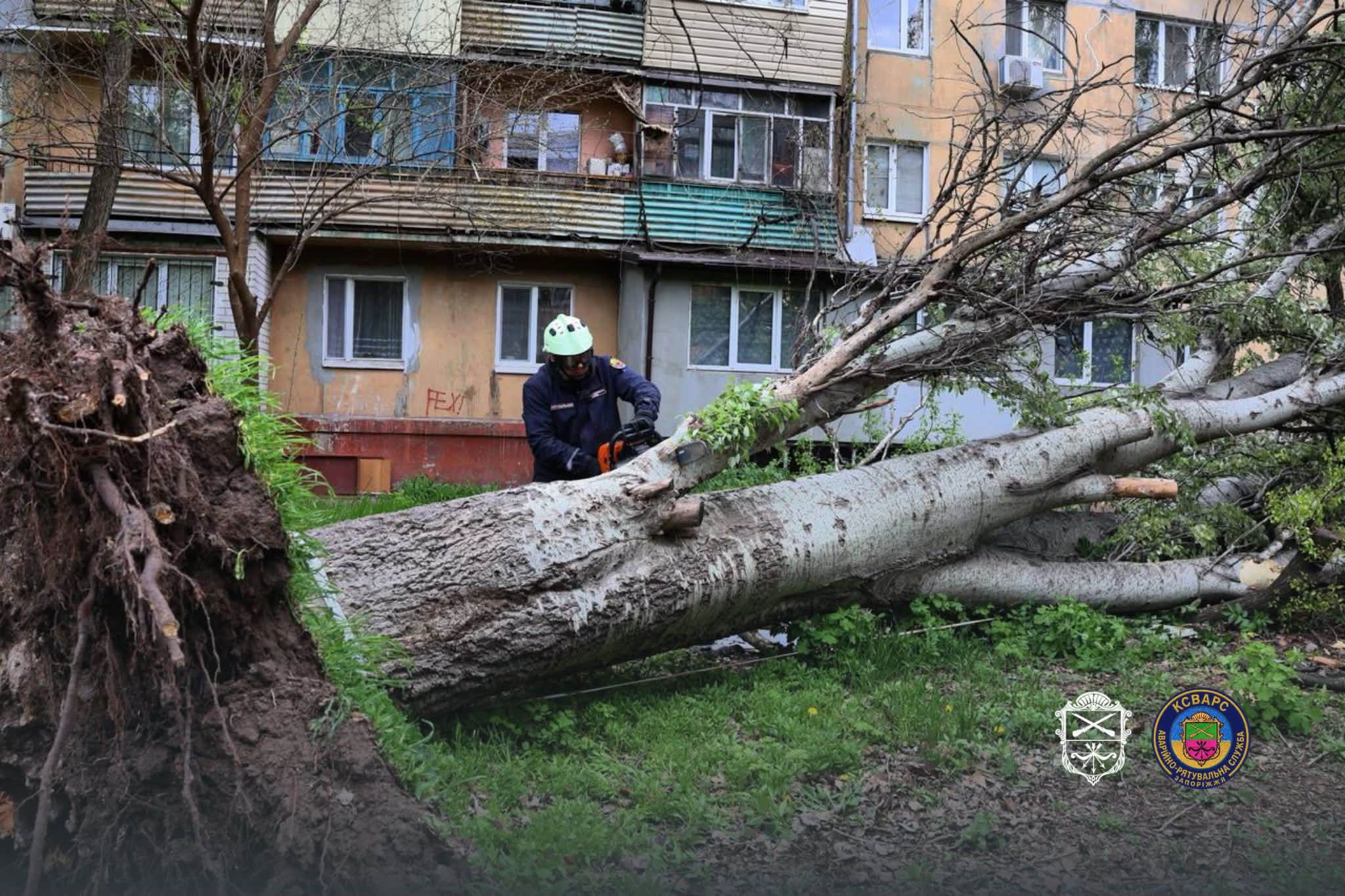 Ветер валил деревья в Запорожье – на ряде улиц перекрывали движение