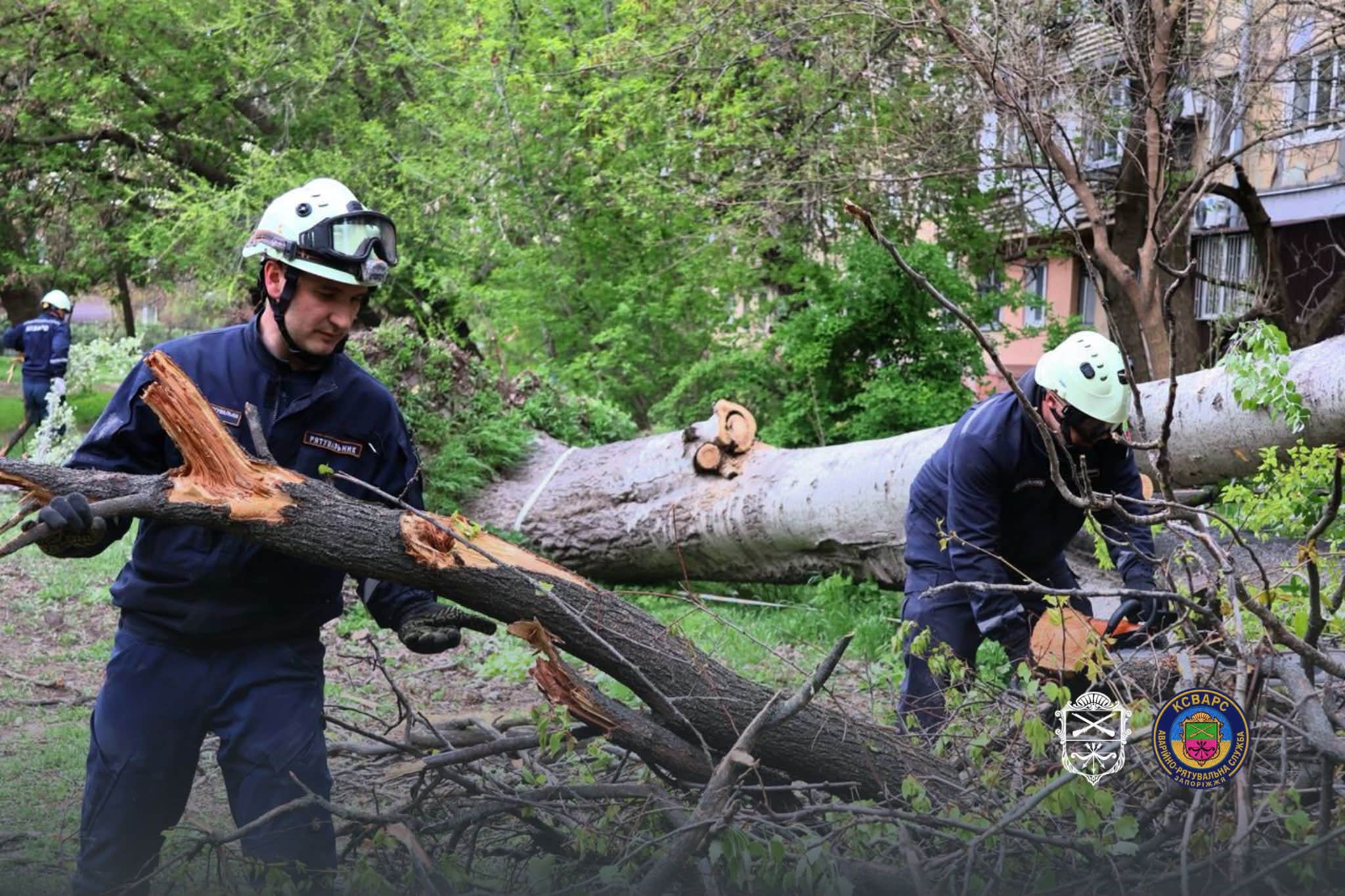 Ветер валил деревья в Запорожье – на ряде улиц перекрывали движение