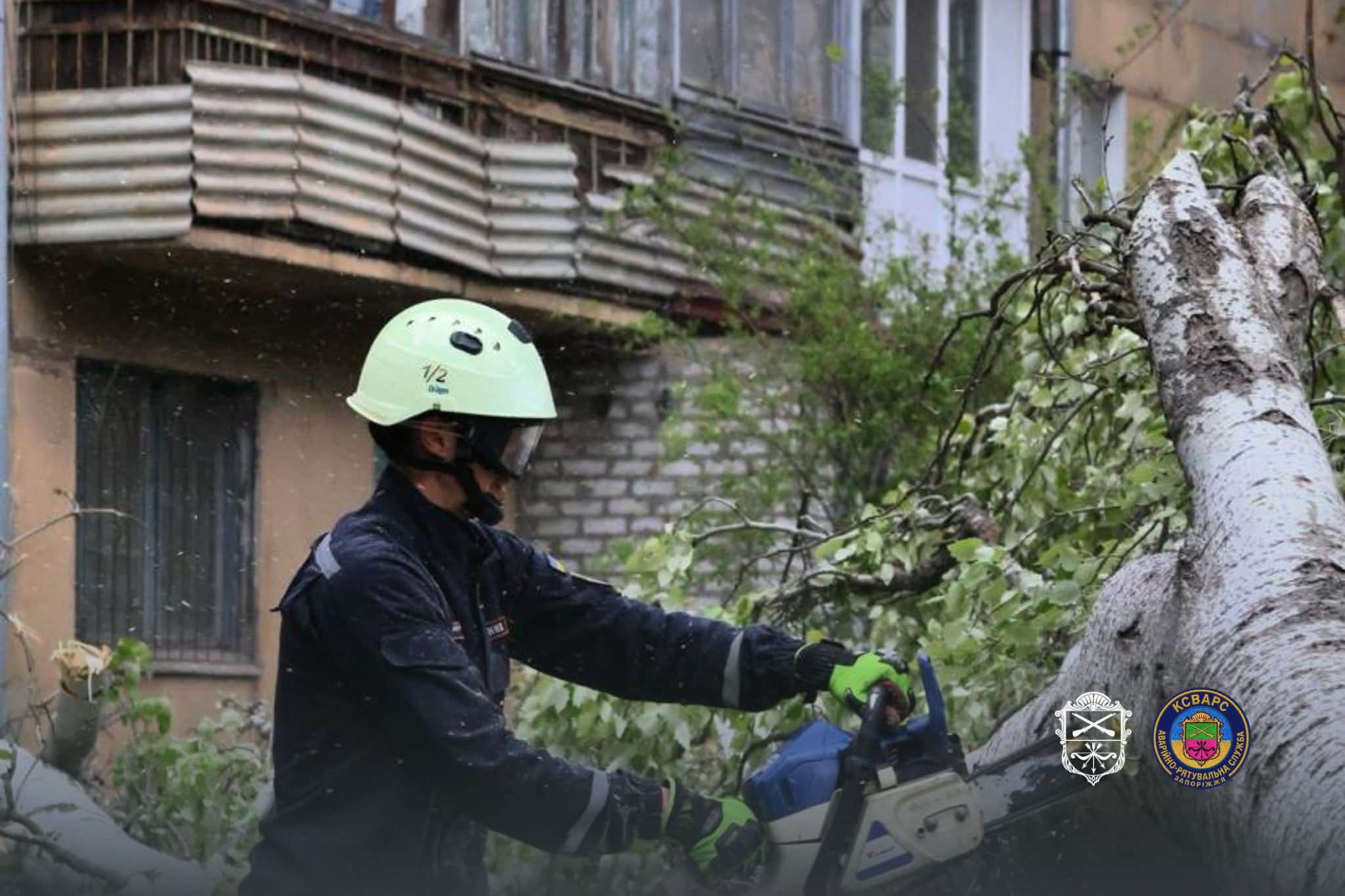 Ветер валил деревья в Запорожье – на ряде улиц перекрывали движение