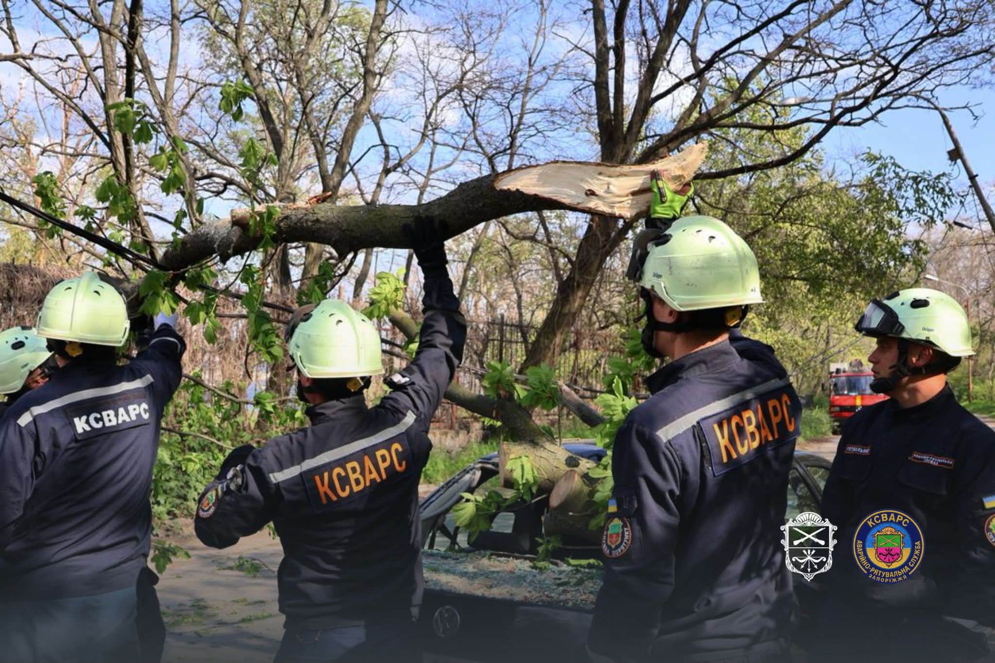 Ветер валил деревья в Запорожье – на ряде улиц перекрывали движение
