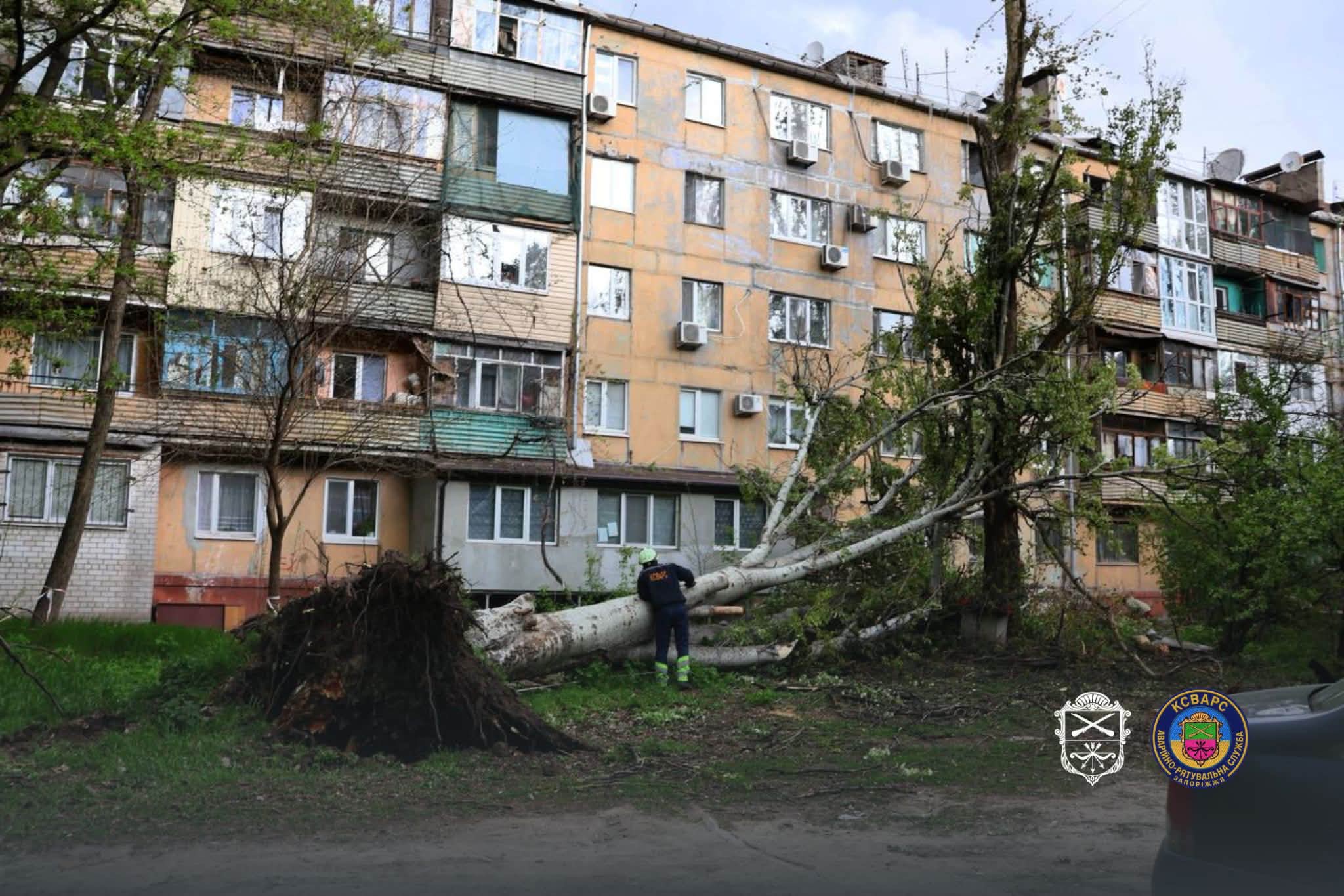 Ветер валил деревья в Запорожье – на ряде улиц перекрывали движение