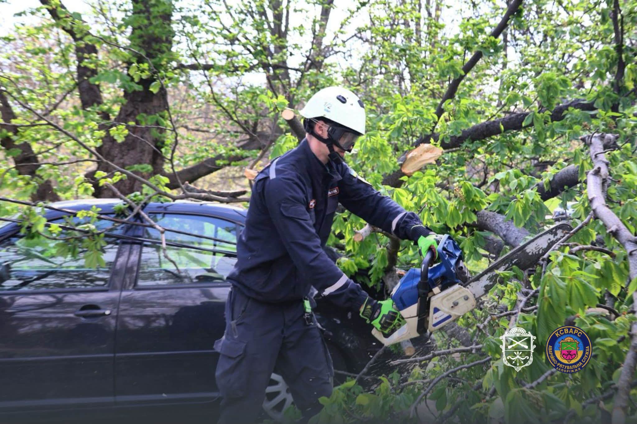 Ветер валил деревья в Запорожье – на ряде улиц перекрывали движение