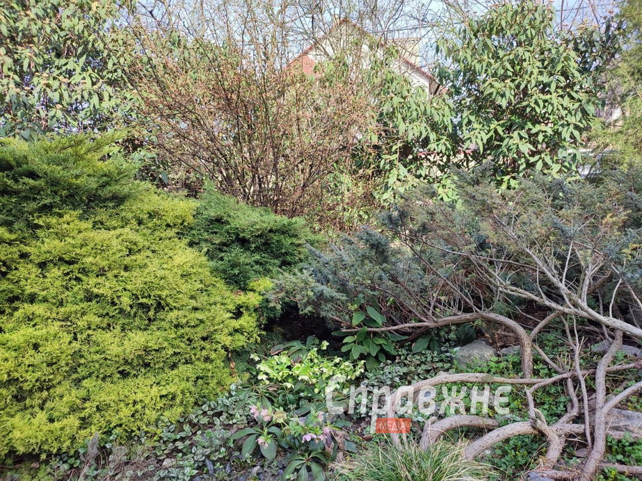 Цветение в ботсаду