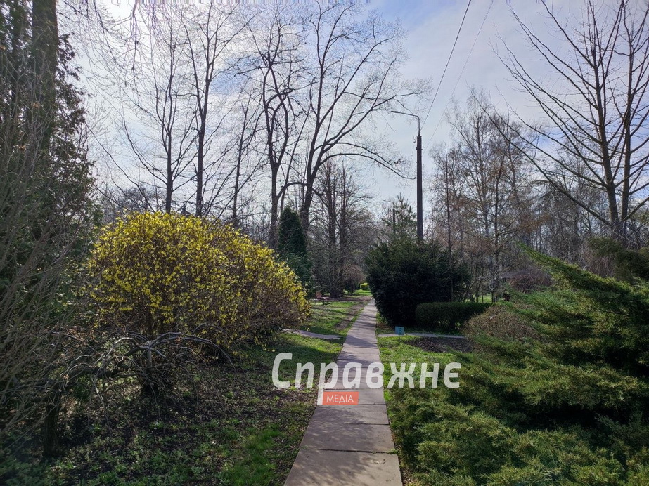 Цветение в ботсаду