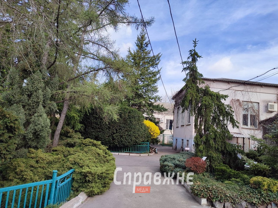 Цветение в ботсаду