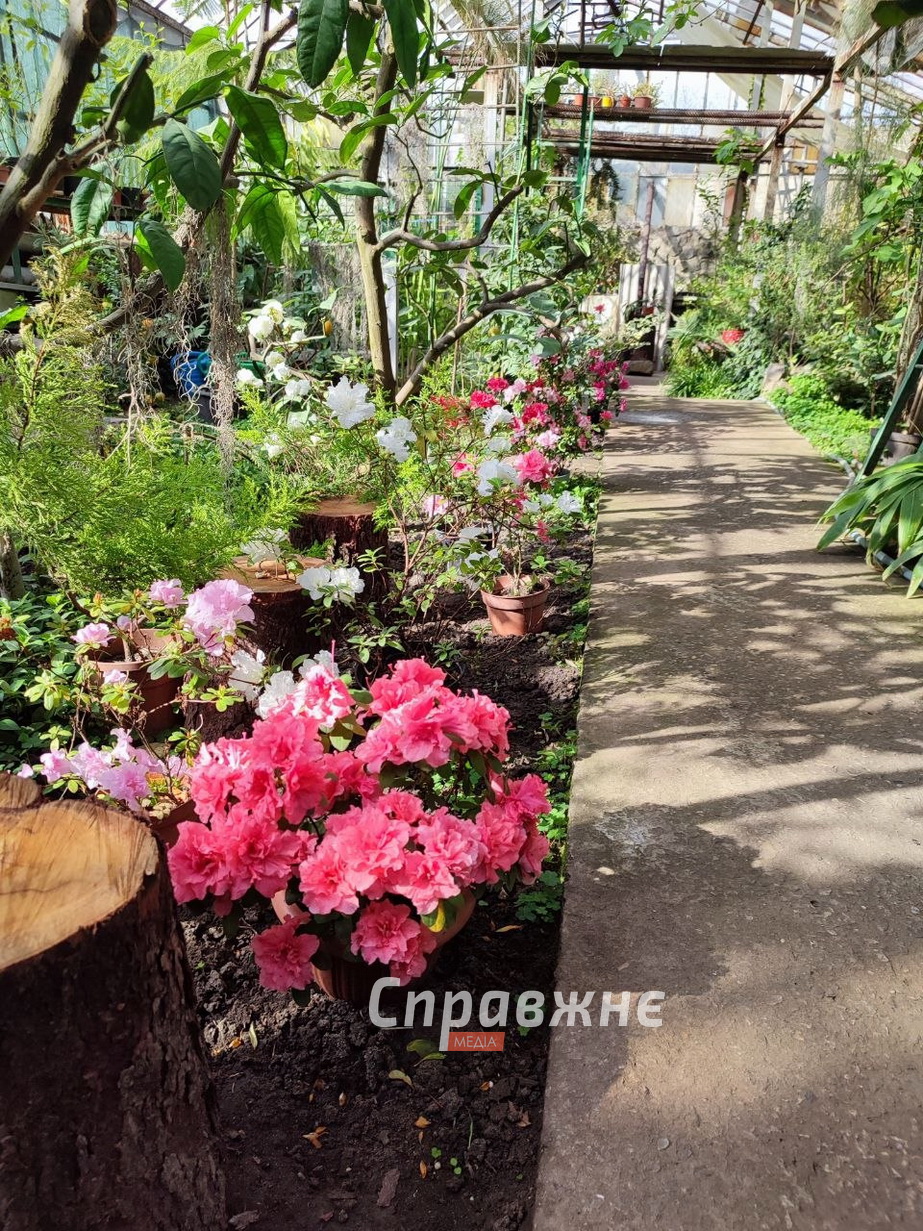 В оранжереях ботсада