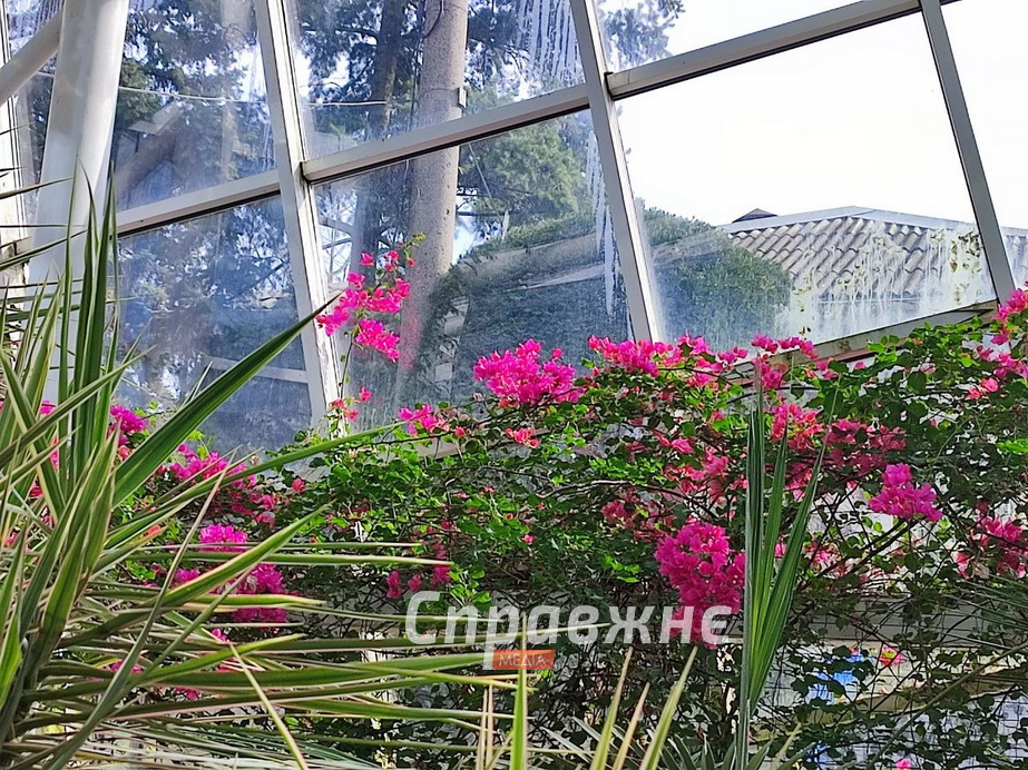 В оранжереях ботсада