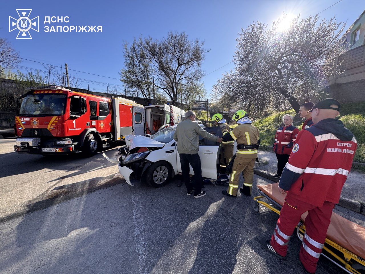 Автівка влетіла в дерево в Запоріжжі – постраждав водій