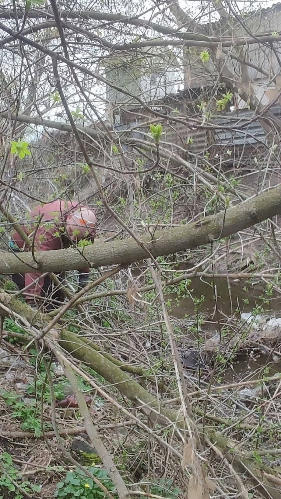 Состояние малых рек