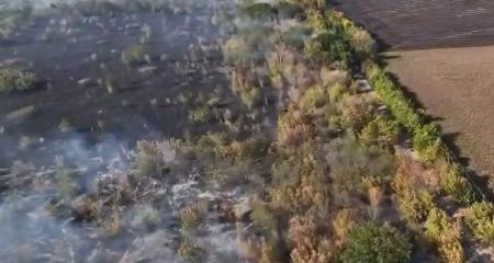 Сім пожеж вирували в екосистемах Запорізької області