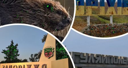 Як "кидок мангуста" перетворився на "весняного бобра": загрози для Запоріжжя