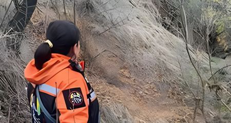 У лісосмузі під Запоріжжям після дводенних пошуків знайшли 82-річну жінку