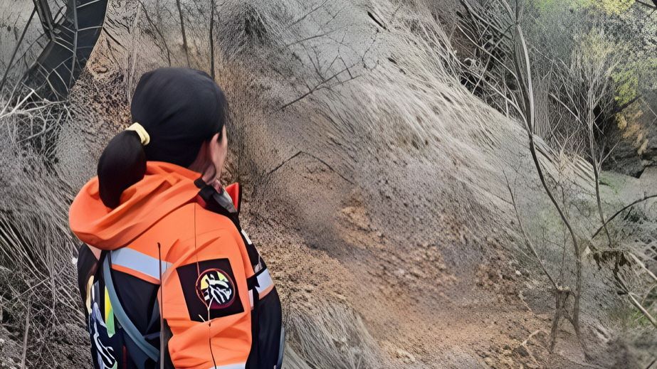 У лісосмузі під Запоріжжям після дводенних пошуків знайшли 82-річну жінку